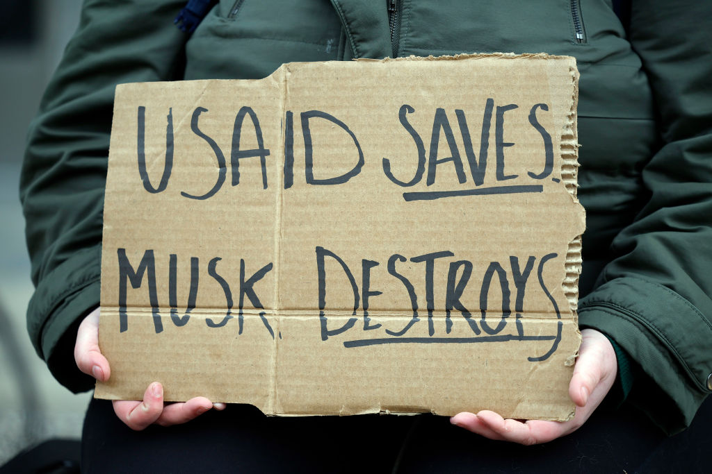 Congress Questions Musk's Authority Over USAID, Federal Spending