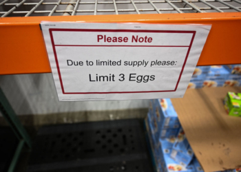 Bird Flu Could Be ‘Worst Outbreak Ever’ As Egg Prices Hit Record Highs