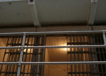 Brooklyn Jail Apparently Overflowing With Fan Mail For Accused CEO Killer Beloved By Leftists