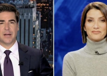Dana Loesch Rips Dems ‘Rich’ Criticism Of Party Chaos, Says They Should’ve Listened To Carville’s Warning