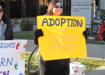 Dems Call Proposed Optional Adoption Registry For Struggling Mothers ‘Disturbing’