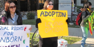 Dems Call Proposed Optional Adoption Registry For Struggling Mothers ‘Disturbing’