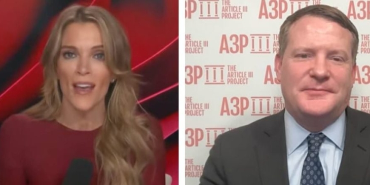 Megyn Kelly Says ‘Dumb’ Dem Governor Claiming To House Illegal Immigrant May Have Guaranteed Felony Charges