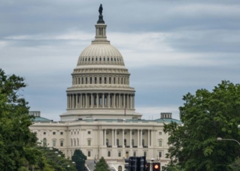 MORGAN MURPHY: Trump Gives Washington Long-Overdue Reality Check