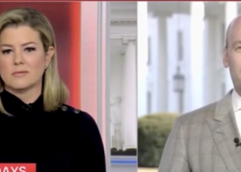 Trump Adviser Tells CNN Host Point-Blank Network’s Freakout Over Gov’t Cuts Is Out Of Touch With Americans