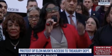 ‘We Are At War!’: Dem Rep Melts Down During Elon Musk Protest, Demands To ‘Shut Down’ Senate