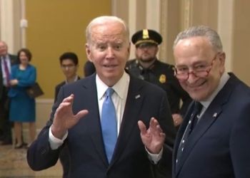 Whoops! Democrats End Up Helping Trump’s Deportations After All