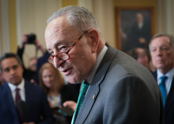 Chuck Schumer Will Vote to Avoid Government Shutdown