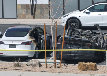 Trump Calls Tesla Vandals ‘Terrorists’