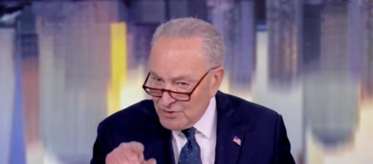 Chuck Schumer Mocks Notion That People Resent Spending Money They Earned On Taxes