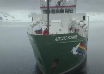 EXCLUSIVE: How Greenpeace’s Pipeline Protests Ultimately Led It To The Brink Of Bankruptcy