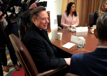 Elon Musk and Treasury Secretary Had Heated Argument in White House: Report