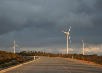 Climate Buzzwords Vanish From Corporate Earnings Calls As Trump Puts Green Energy Industry ‘On Its Heels’