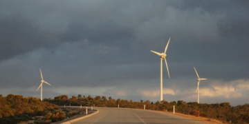 Climate Buzzwords Vanish From Corporate Earnings Calls As Trump Puts Green Energy Industry ‘On Its Heels’