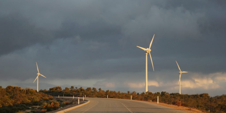 Climate Buzzwords Vanish From Corporate Earnings Calls As Trump Puts Green Energy Industry ‘On Its Heels’