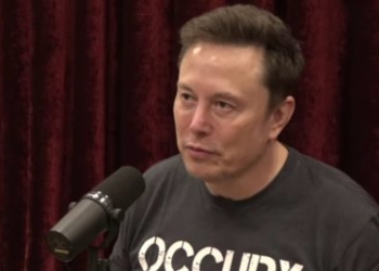 Elon Musk Says He Will Step Back From DOGE
