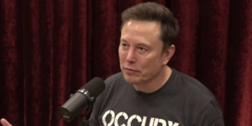 Elon Musk Says He Will Step Back From DOGE
