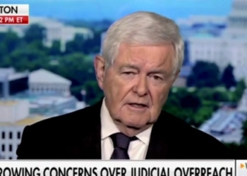 Gingrich Says Federal District Judges Aren’t Just Tying Up Trump But Another Branch Of Government As Well