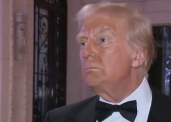 Guess How Many Democratic Party State AGs Are Now Fighting Trump’s Executive Order To Stop Voter Fraud