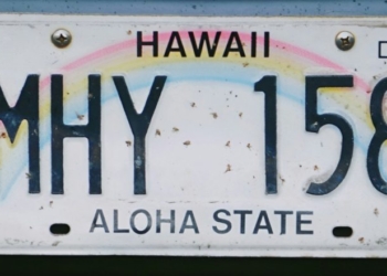 Hawaii Democrats Cook Up Another Climate Lawfare Scheme