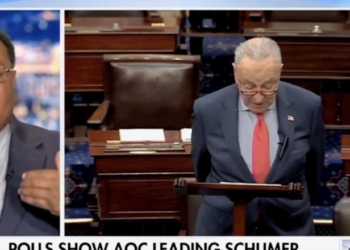 Horace Cooper Says Letting This Person Run The Senate Is ‘Last Example Of Going Completely And Totally Crazy’