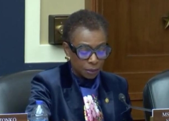 ‘I Still Believe In This Bill’: Dem Rep Willing To Tank Legislation She Supports As Payback Against Elon Musk