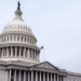 Just Four Dems Vote To Keep Non-Citizens Out Of US Elections