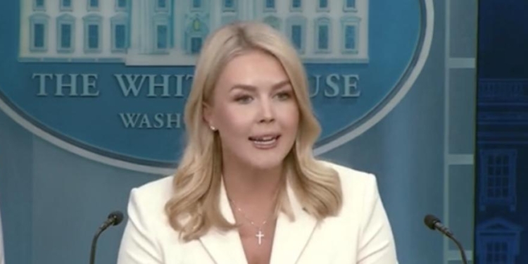 Karoline Leavitt Brings Receipts Of Dems Echoing Trump’s Concerns About Trade Policy