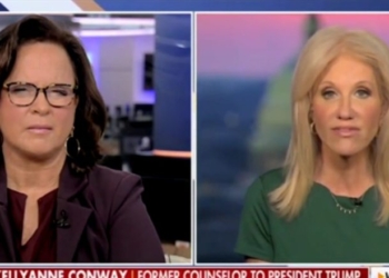 Kellyanne Conway Says Democrats Have Big Dilemma After More Trump Trade And Tariff Success Stories Emerge