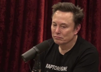 Musk Slashes DOGE Savings Forecast By 85%