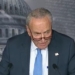 Schumer Promises Dems Will Retake Senate Despite Voters Souring On Their Job Performance