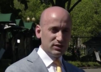 Stephen Miller Dukes It Out With Reporter Suggesting Trump Admin Is Targeting Mothers And Children