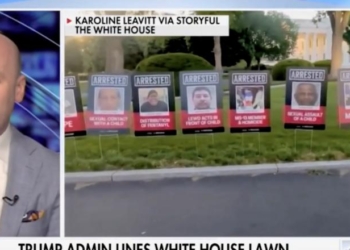 Stephen Miller Says Trump Can Force ‘Jerks’ In ‘Left-Wing Corporate Press’ To Cover Illegal Aliens’ ‘Atrocities’