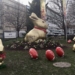 TAYLOR MILLARD: How Chocolate Tariffs Could Kill The Easter Bunny