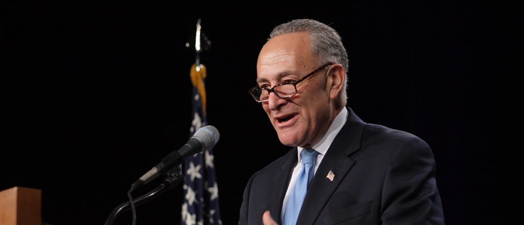 ‘We Need New Leaders’: Democrat State Senator Who Called For Schumer To Step Down Jumps Into Michigan Senate Race