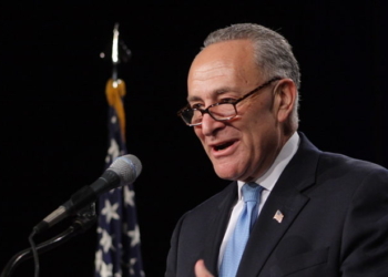 ‘We Need New Leaders’: Democrat State Senator Who Called For Schumer To Step Down Jumps Into Michigan Senate Race