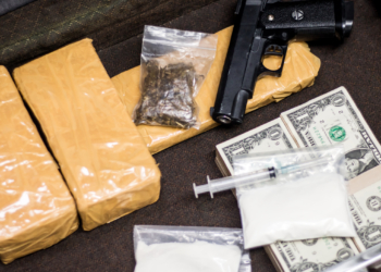 $1.6 Million, Guns, and Narcotics Found at Oregon Safari Park, Police Say