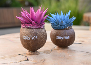 Hill Staffer Will Be Contestant on Next Season of ‘Survivor’