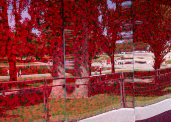 USAA’s Wall of Poppies Honors Fallen Service Members