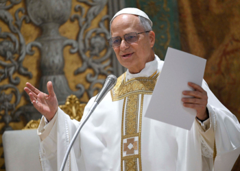 Pope’s Brother Reacts With ‘Overwhelming Pride’ on First American Pontiff
