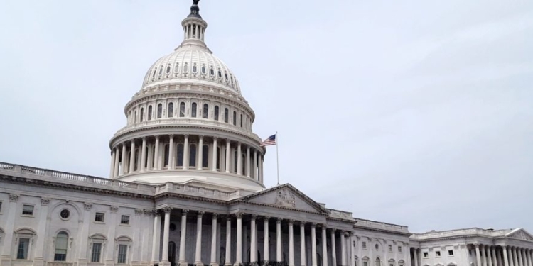 Democrat Lawmaker Cheered About ‘Unity’ Before Allegedly Throwing Hands With DHS Agents