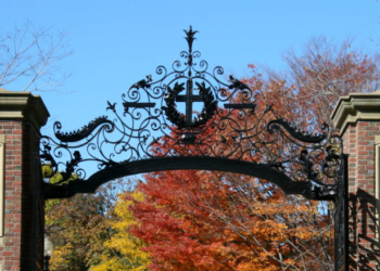 Harvard Begins Funding Itself As University Feels Effects Of Trump Administration Cuts