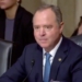 It Took Lee Zeldin Just 3 Words To Send Adam Schiff Into A Tizzy