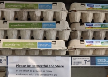 ‘Remarkable Reversal’: CNN Stunned As Trump Prediction Proves True