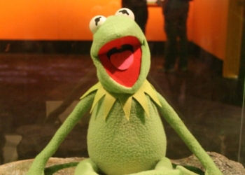 Student Outraged Over ‘Cowardly’ And ‘Inoffensive’ Commencement Speaker Kermit The Frog