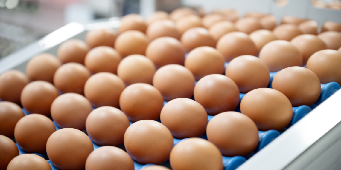 Egg Prices Have Dropped 61% Since Trump Took Office