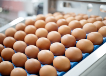 Egg Prices Have Dropped 61% Since Trump Took Office