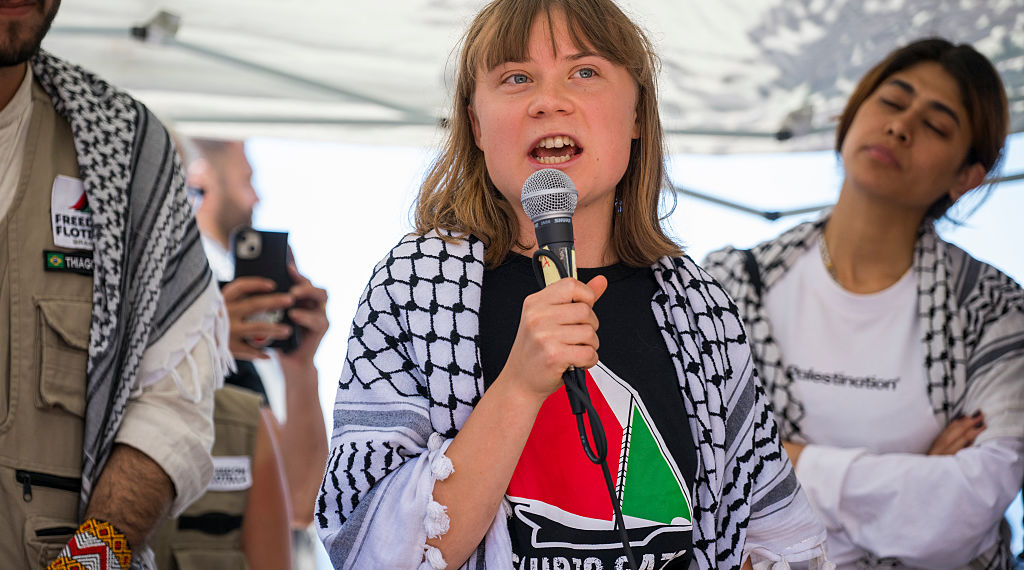 Gaza-Bound Vessel Carrying Greta Thunberg Detained by IDF