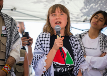 Gaza-Bound Vessel Carrying Greta Thunberg Detained by IDF