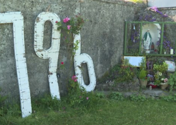Work Begins on Excavation Where Around 800 Babies, Toddlers Were Buried in Ireland
